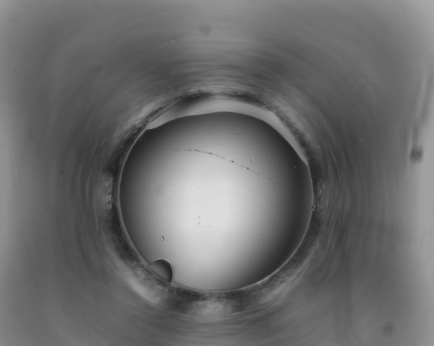 X0000092090356200709191250