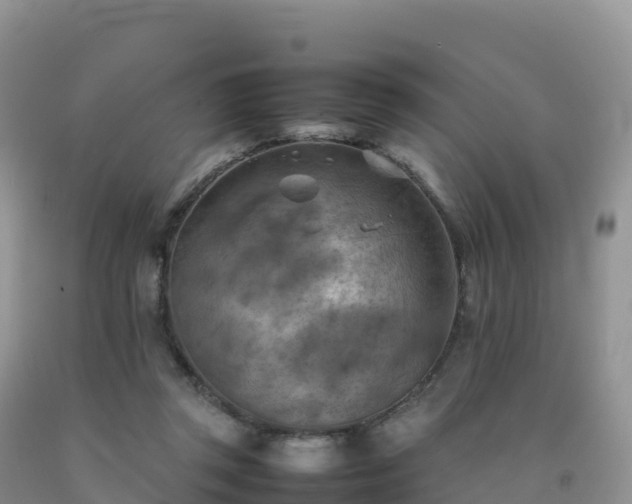 X0000092090357200709191250
