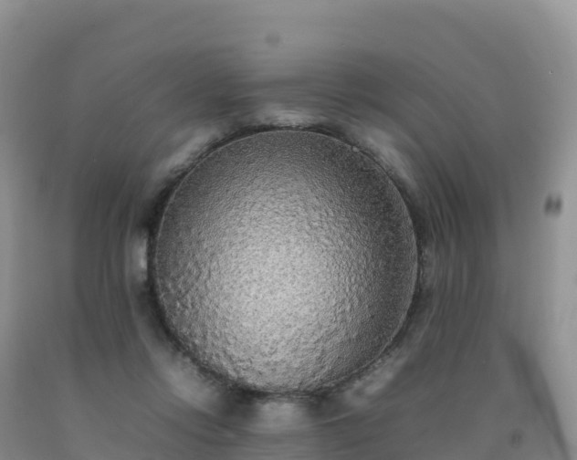 X0000092090358200709191250