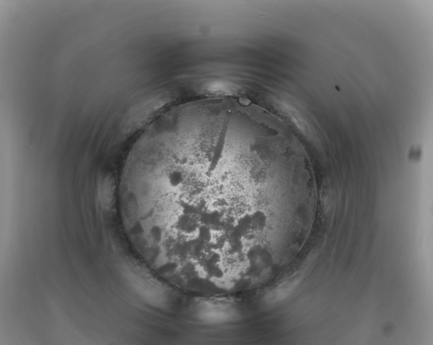 X0000092090359200709191250