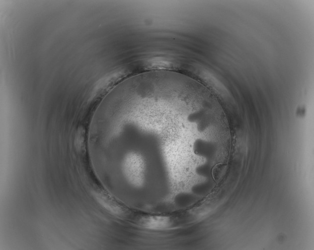 X0000092090361200709191250