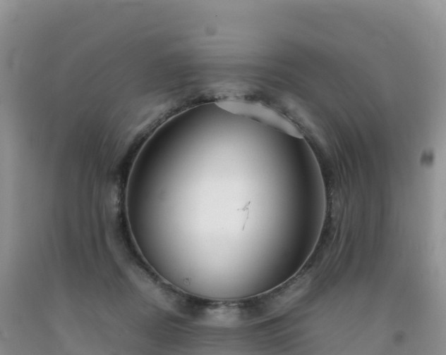 X0000092090362200709191250