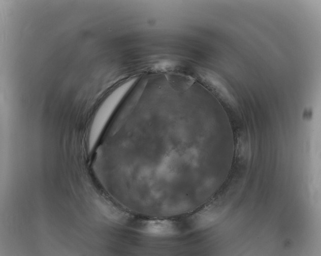 X0000092090363200709191250