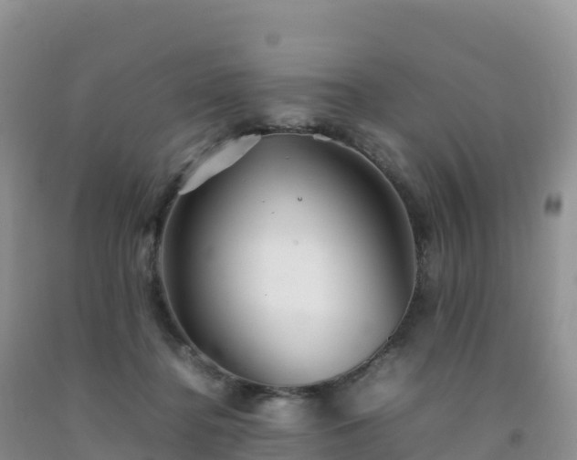 X0000092090364200709191250