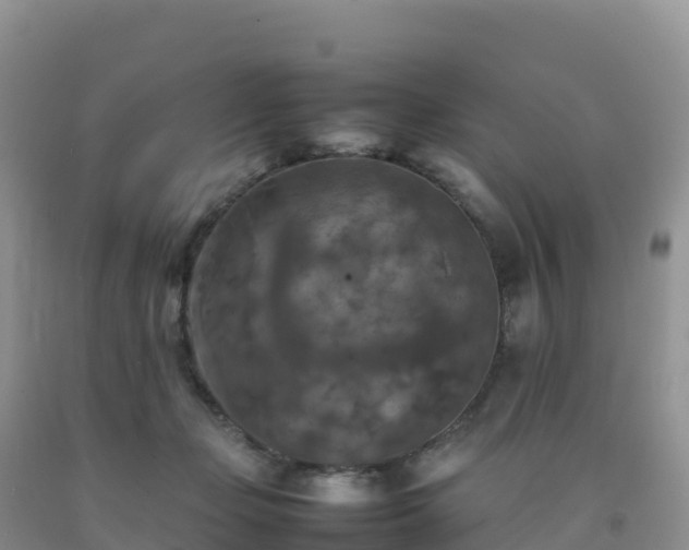 X0000092090365200709191250