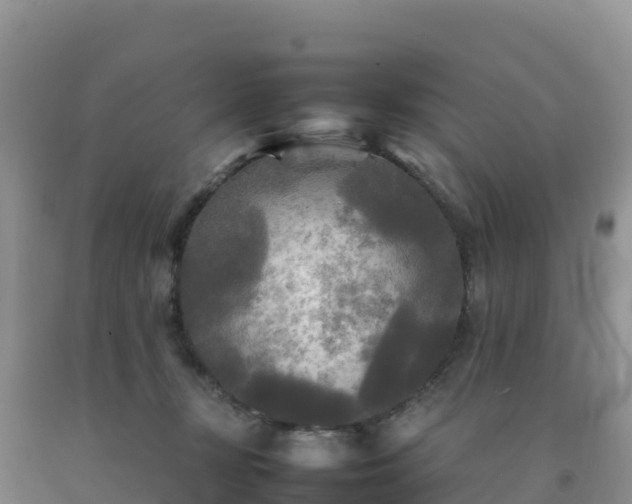 X0000092090367200709191250