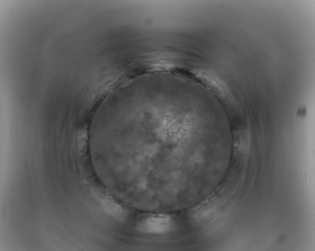 X0000092090369200709191250