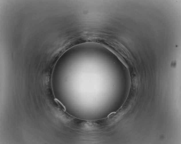 X0000092090372200709191250