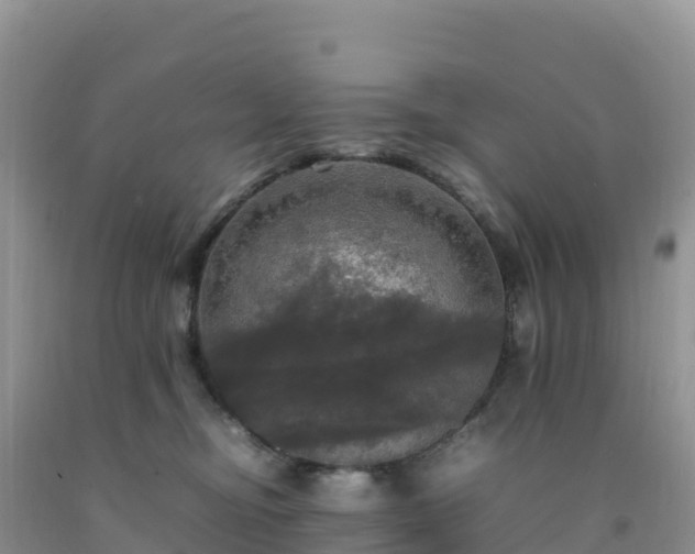X0000092090374200709191250