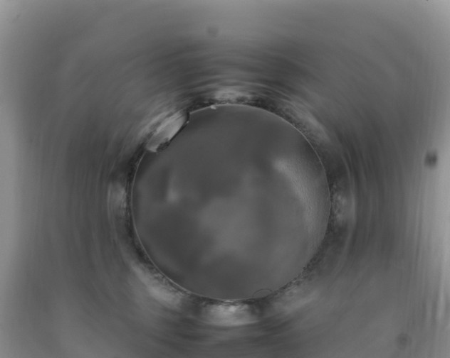X0000092090375200709191250