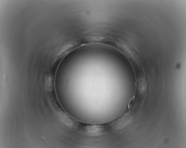 X0000092090378200709191250