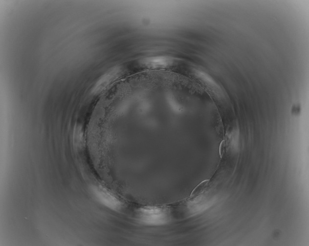X0000092090381200709191250