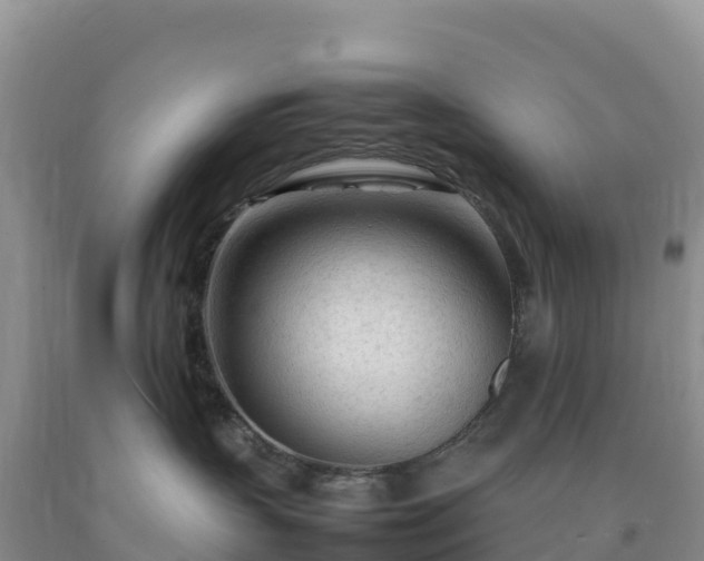 X0000092090383200709191250