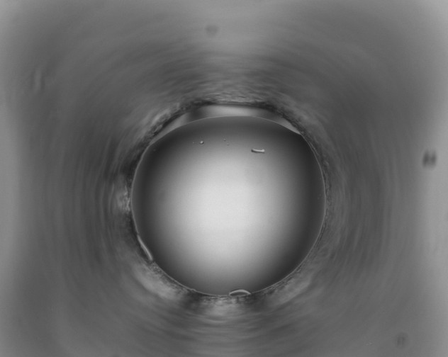 X0000092090384200709191250