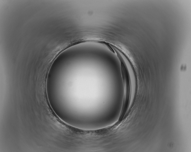 X0000092090385200709191250