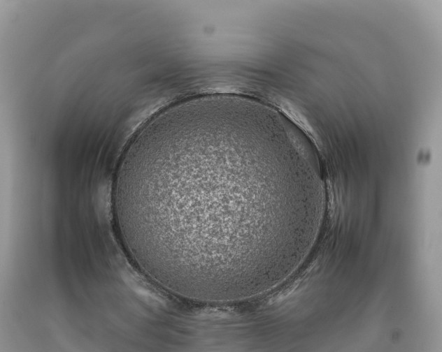 X0000092090386200709191250
