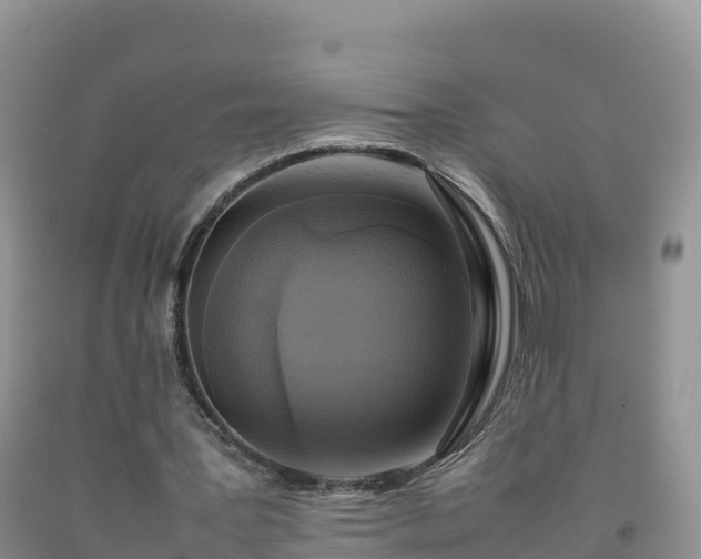 X0000092090387200709191250