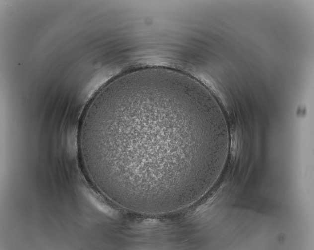 X0000092090390200709191250