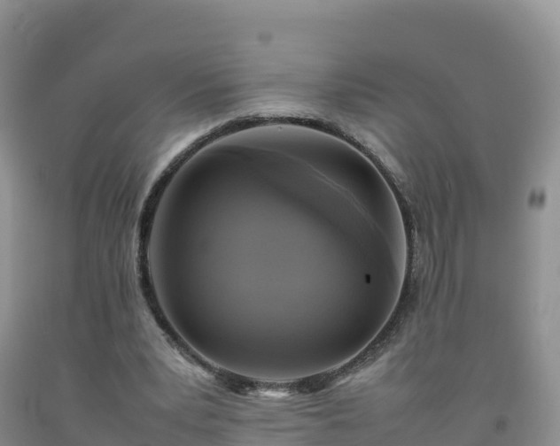 X0000092090391200709191250