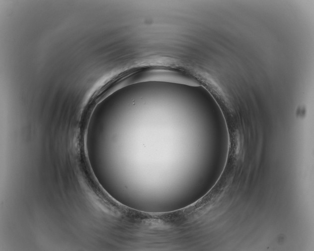 X0000092090392200709191250