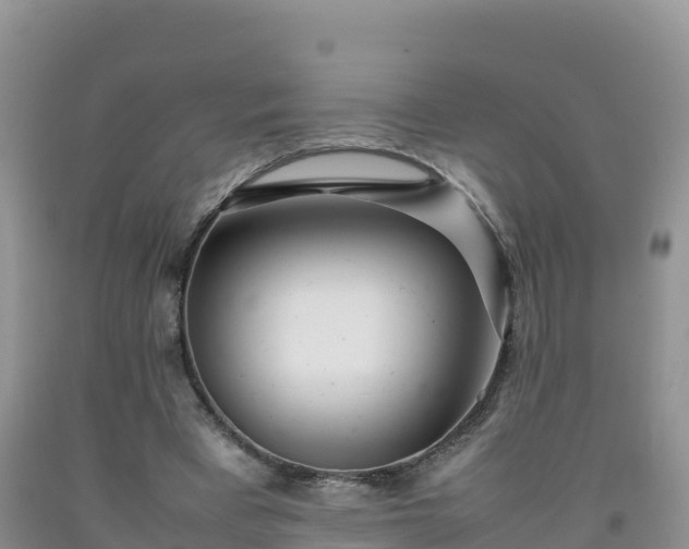 X0000092090393200709191250
