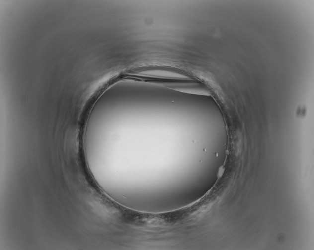 X0000092090395200709191250