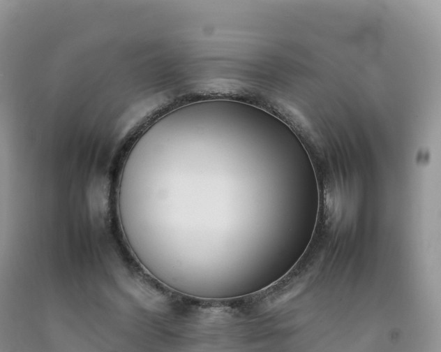 X0000092090396200709191250