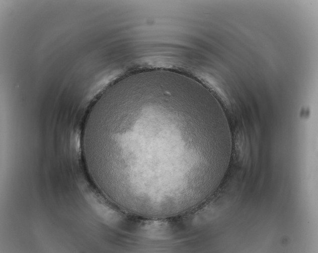 X0000092090398200709191250