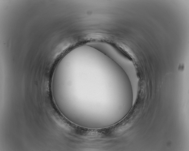 X0000092090399200709191250