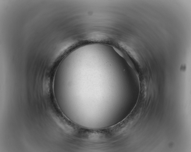 X0000092090400200709191250