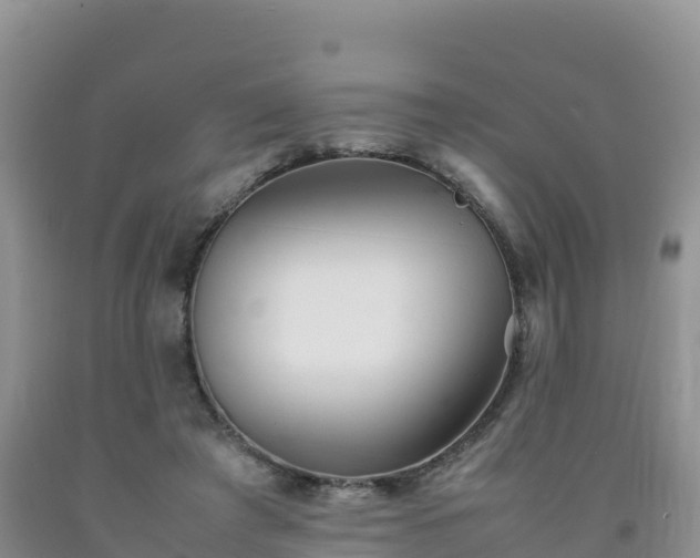 X0000092090401200709191250