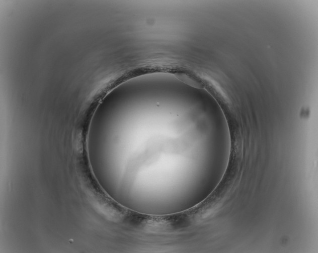X0000092090403200709191249