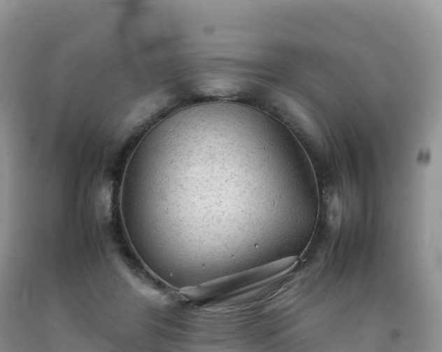 X0000092090404200709191249
