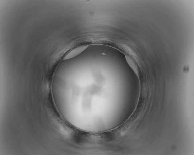 X0000092090405200709191249