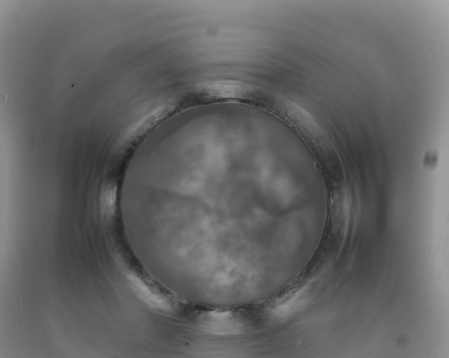 X0000092090406200709191249