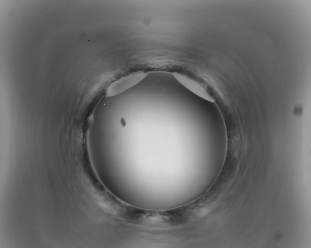 X0000092090407200709191249