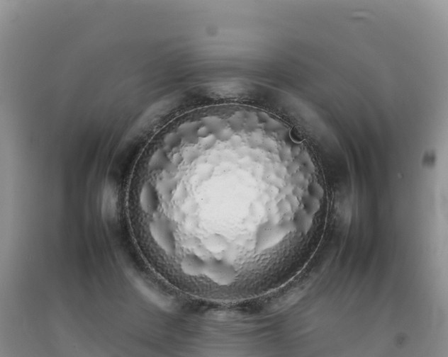 X0000092090408200709191249