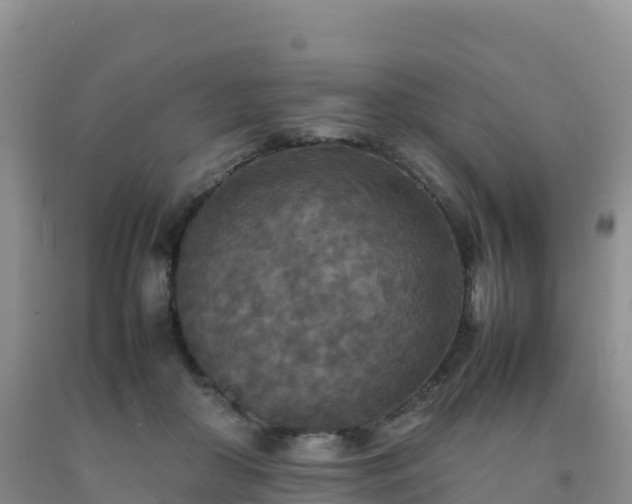 X0000092090410200709191249