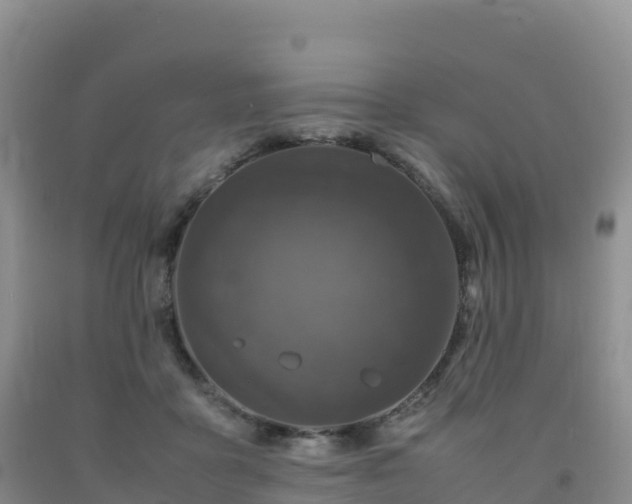 X0000092090411200709191249
