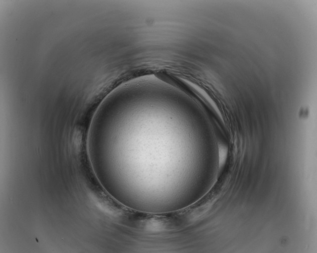 X0000092090412200709191249