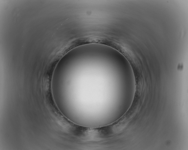 X0000092090413200709191249
