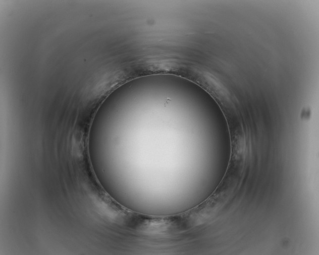 X0000092090414200709191249