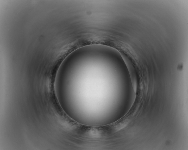 X0000092090416200709191249