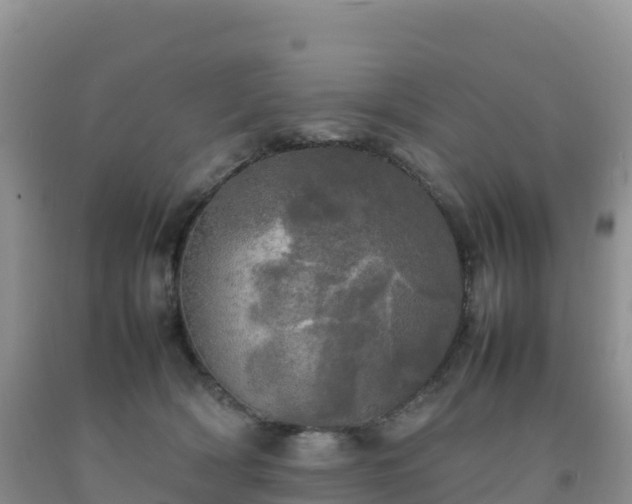 X0000092090418200709191249