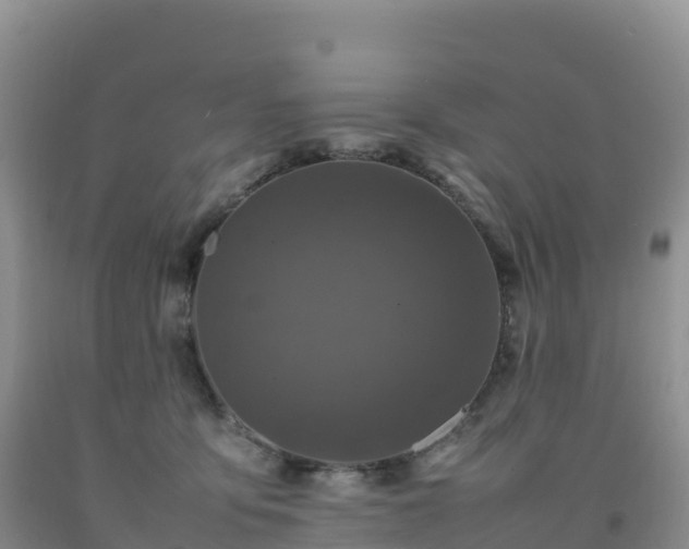 X0000092090419200709191249