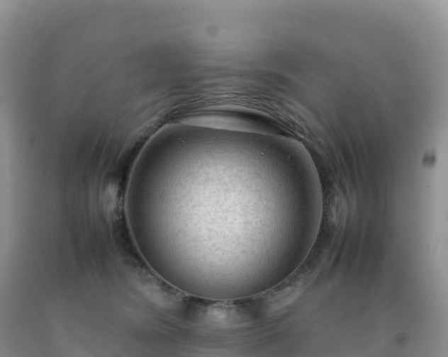 X0000092090420200709191249