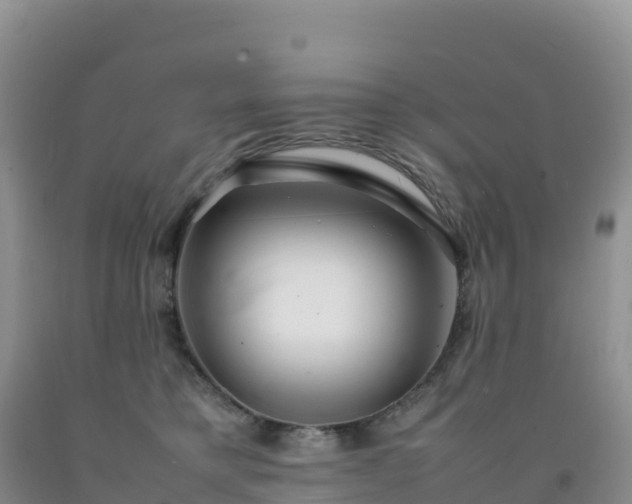 X0000092090421200709191249