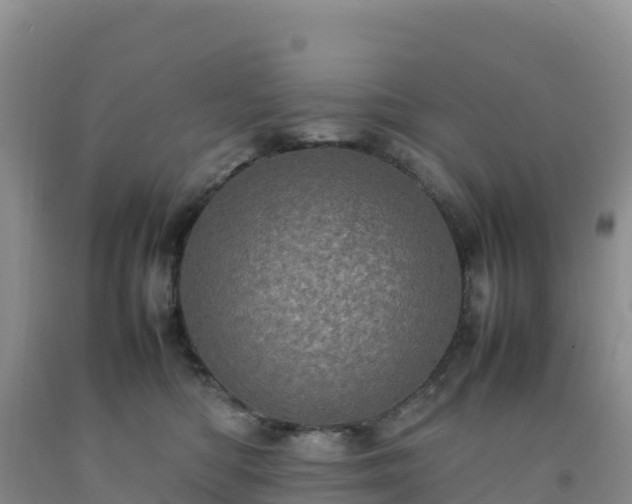 X0000092090422200709191249