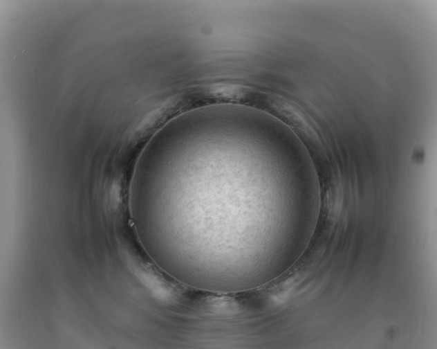 X0000092090424200709191249