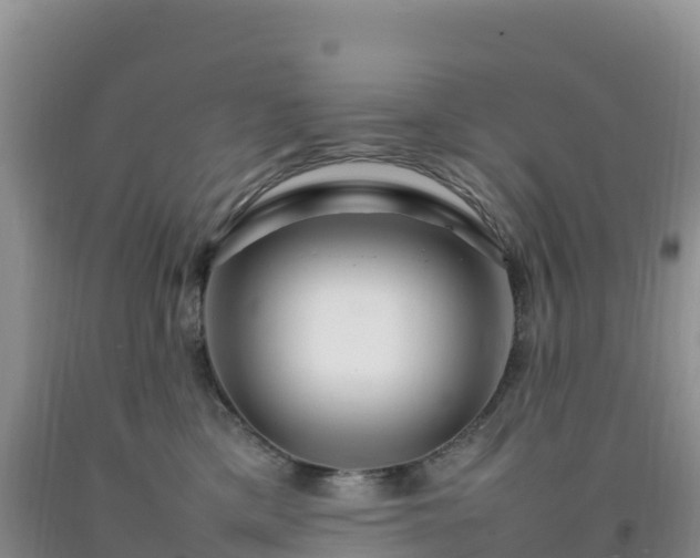 X0000092090425200709191249